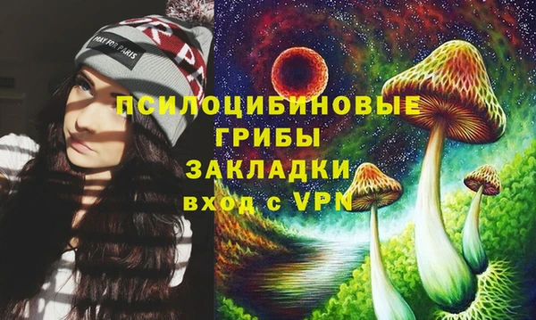 МДПВ Нефтегорск