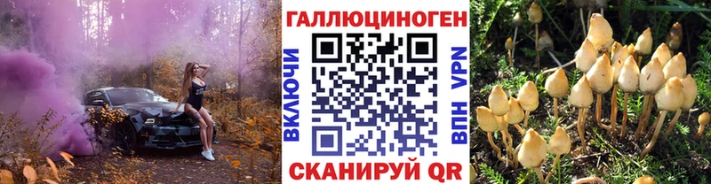 купить наркотик  Кубинка  KRAKEN как войти  Галлюциногенные грибы Psilocybe 