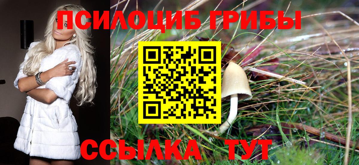 Кубинка  Псилоцибиновые грибы Cubensis  Вход с VPN 