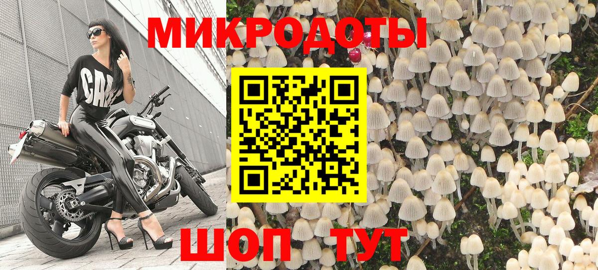 Галлюциногенные грибы Psilocybine cubensis Кубинка
