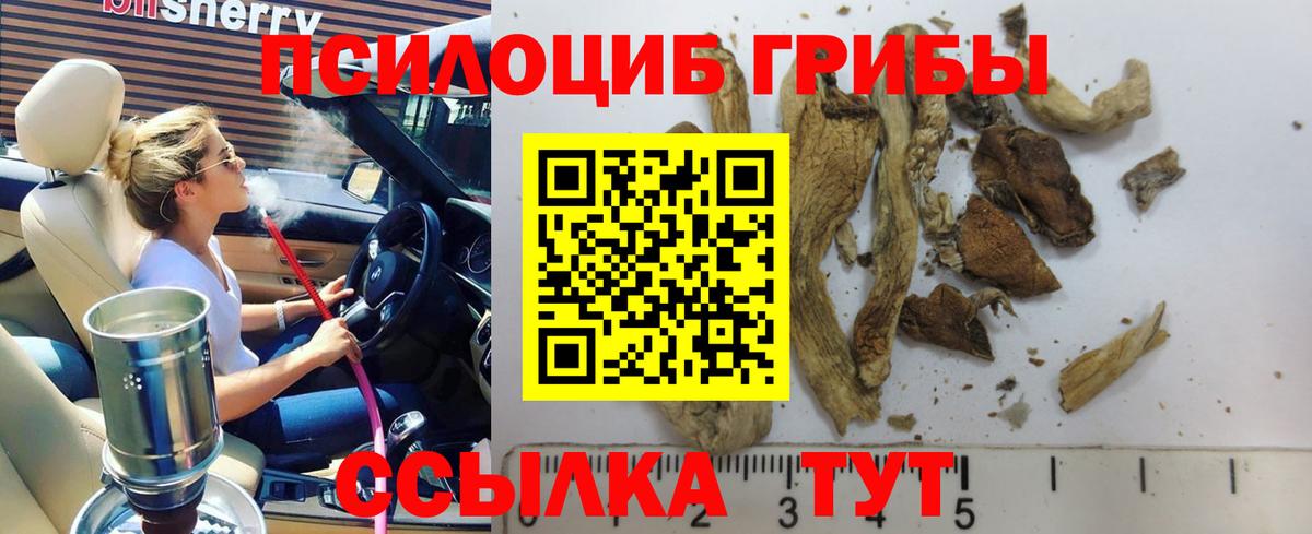 купить наркоту  Кубинка  Галлюциногенные грибы ЛСД 